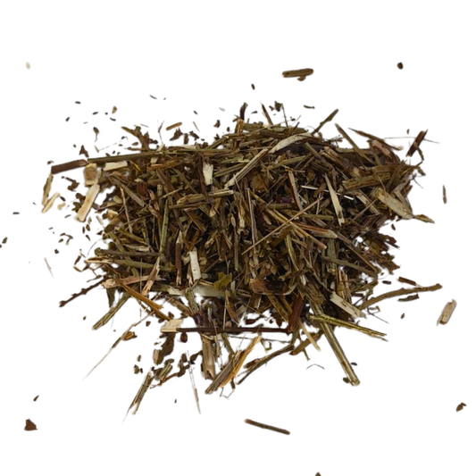 Blue Vervain (Verbena officinalis) Tea