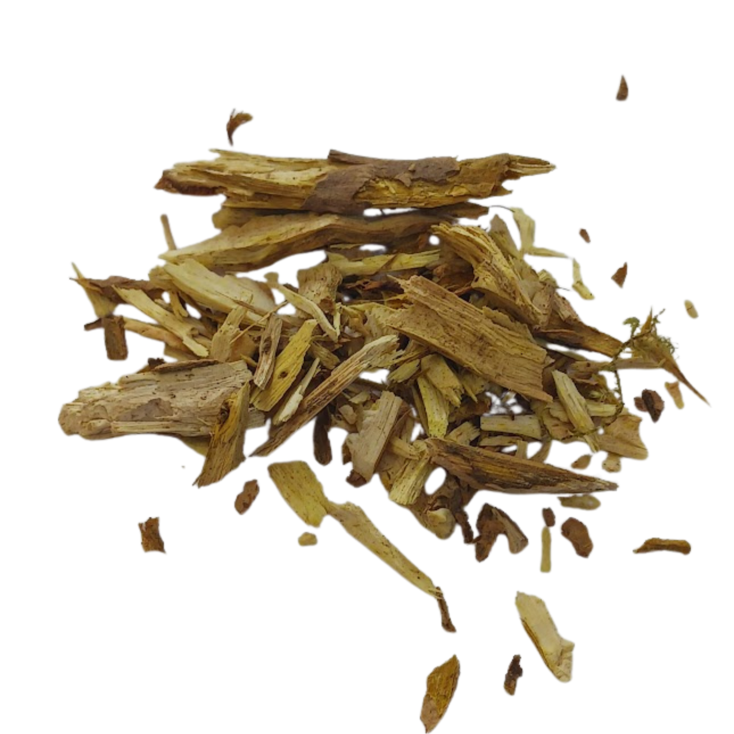 Oregon Grape Root