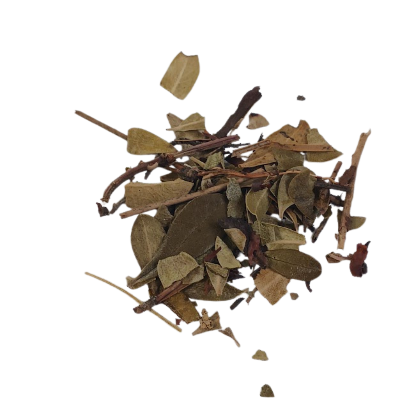 Uva Ursi - Snyder's Skincare