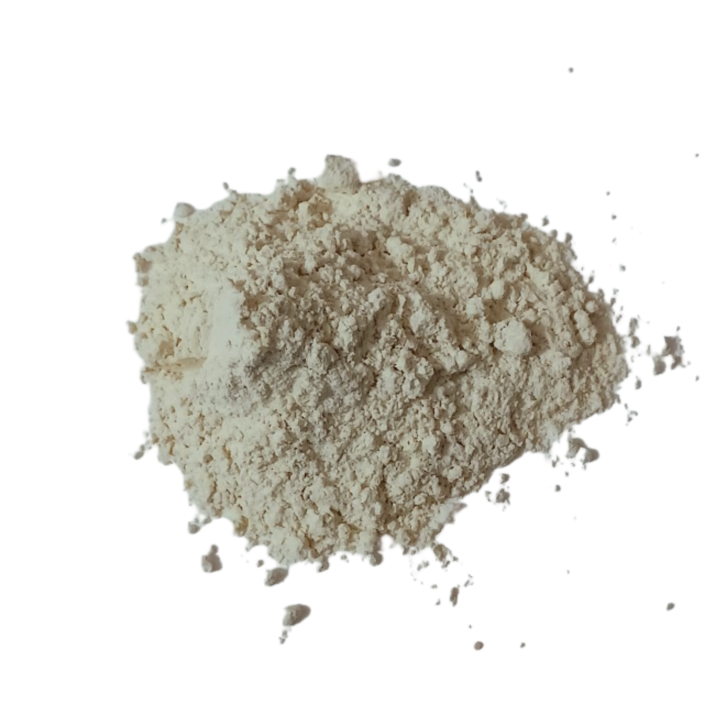 Shatavari Powder - Snyder's Skincare