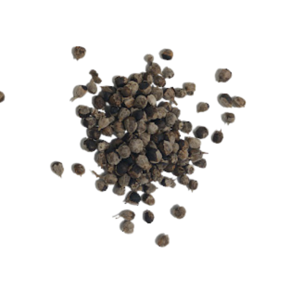 Vitex (Chaste) Berry Tea