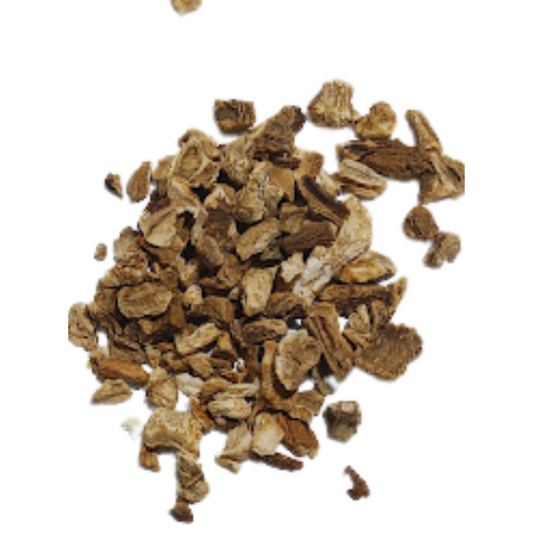 Burdock Root Tea