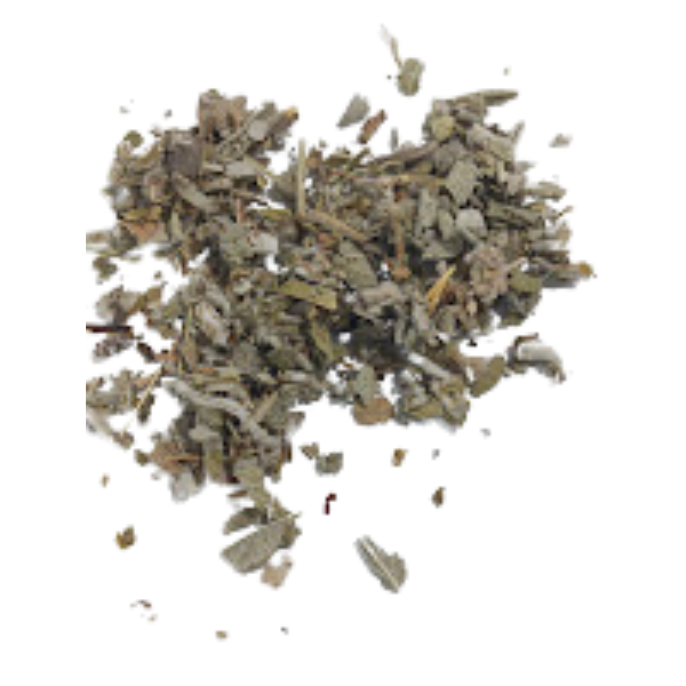 Té de hojas de salvia