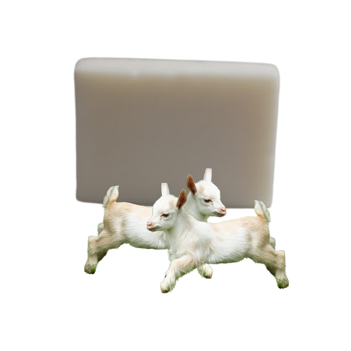 Goat's Milk Soap