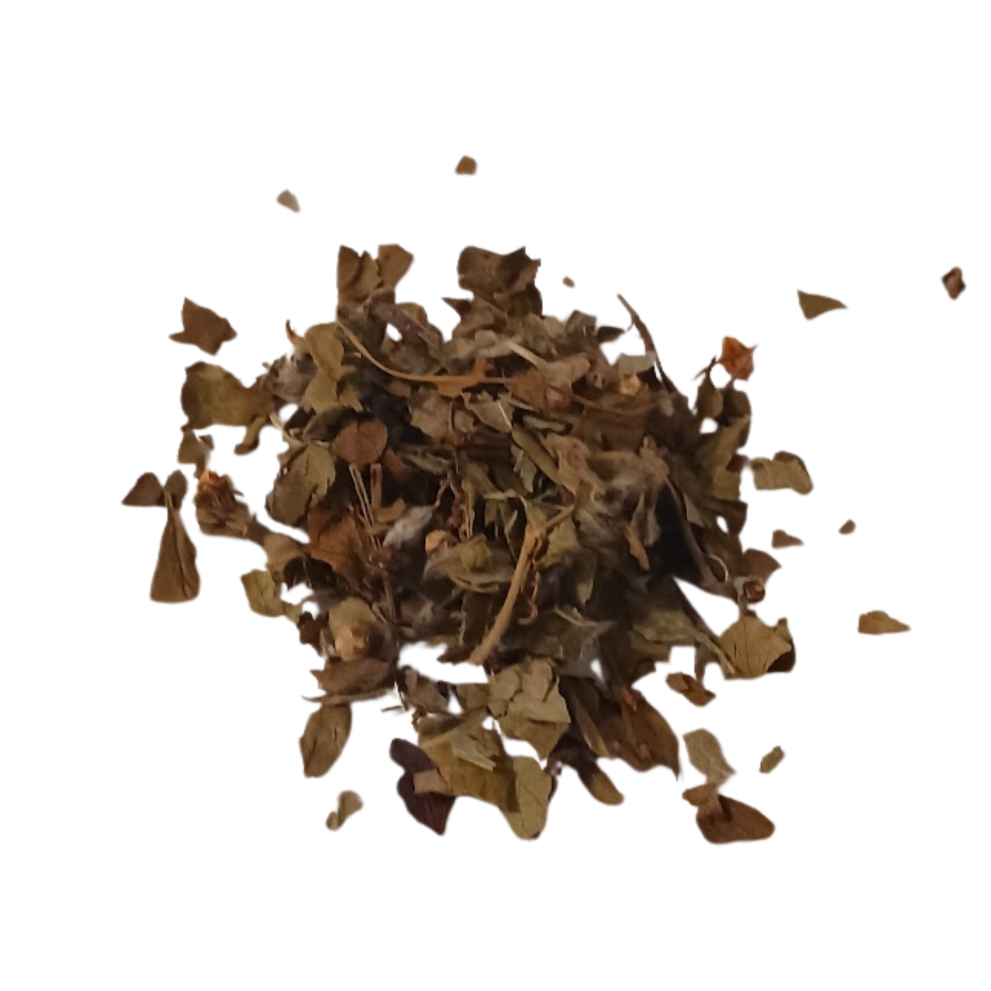 Hawthorn Leaf & Flower