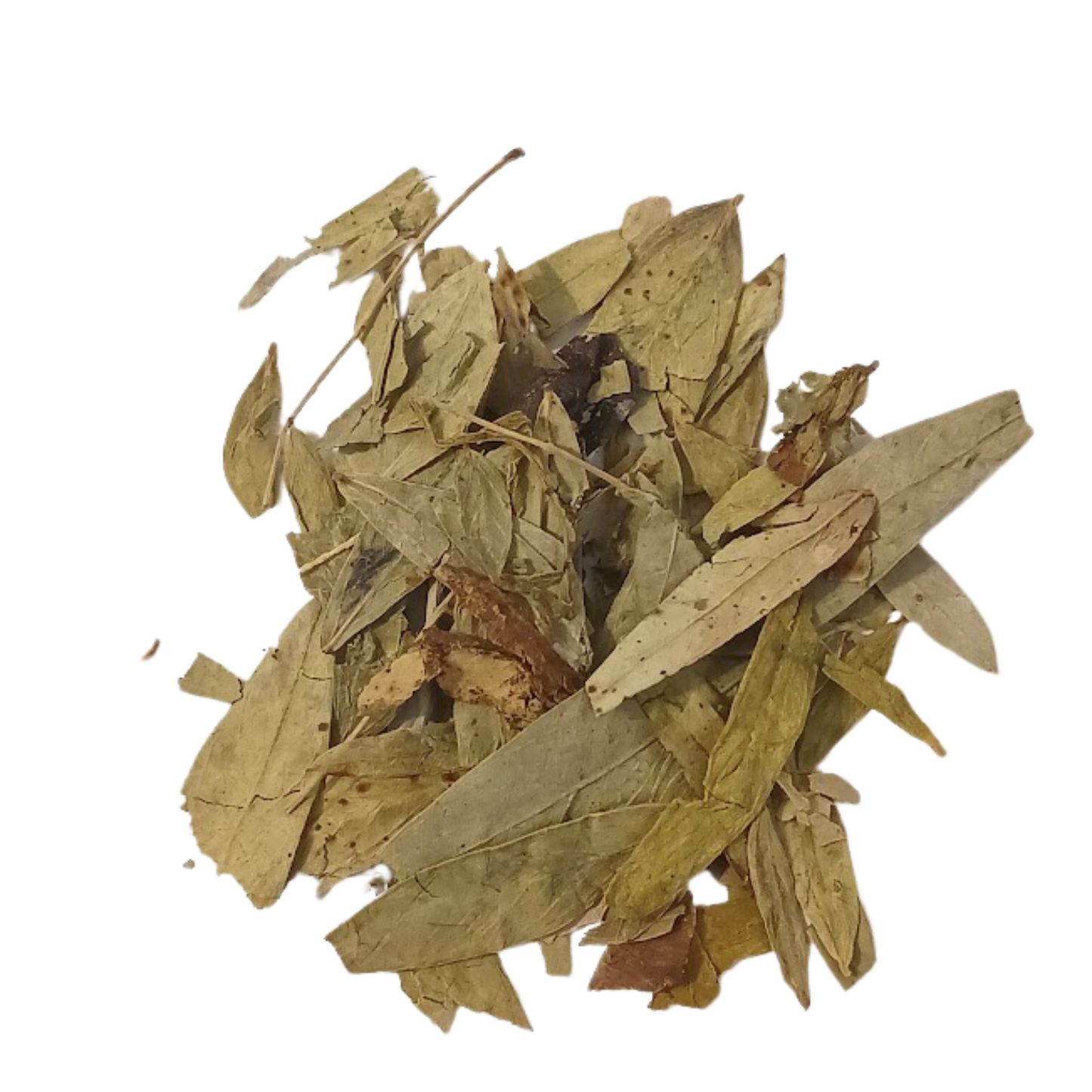 Senna Leaf - Snyder's Skincare