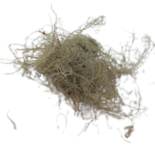 Usnea - Snyder's Skincare