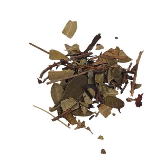 Uva Ursi - Snyder's Skincare