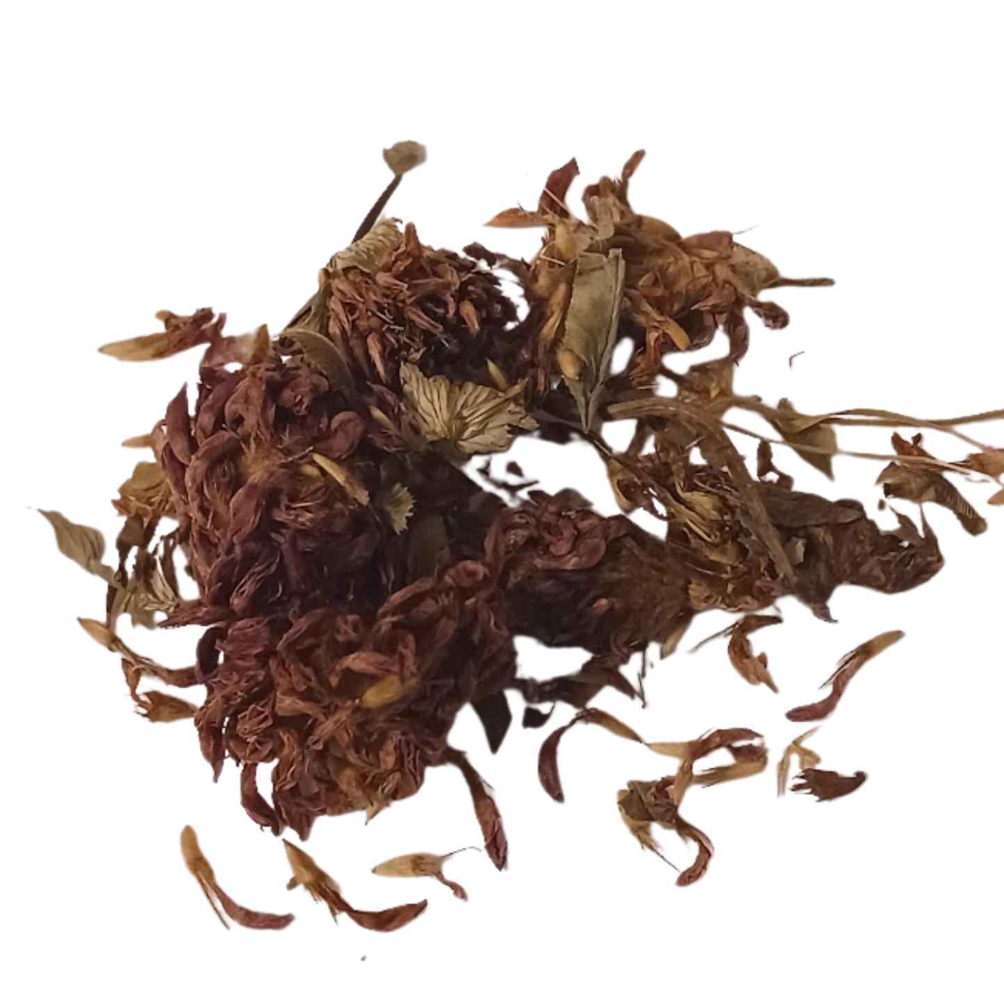 Red Clover Tops - Snyder's Skincare