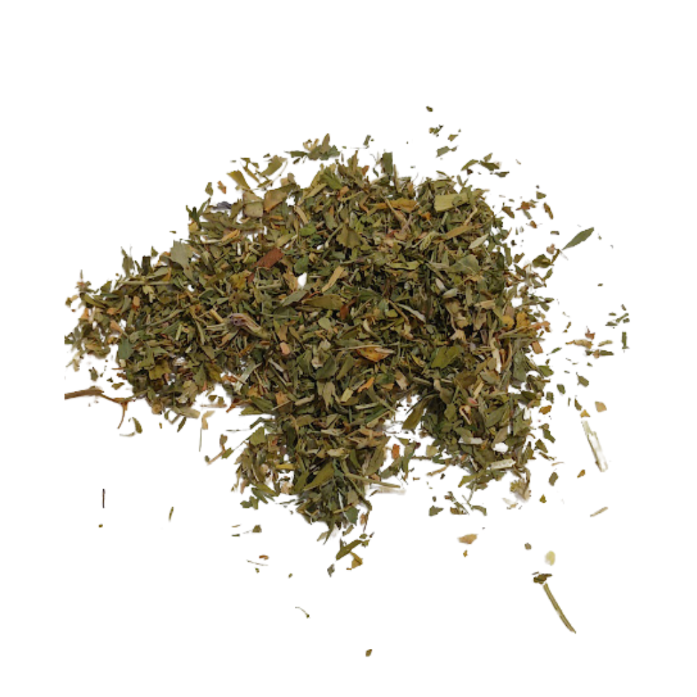 Alfalfa Leaf Tea